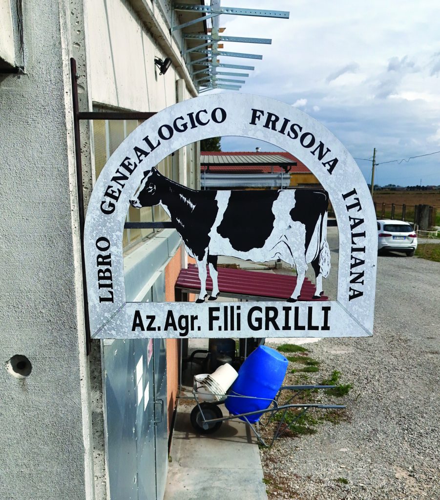 Il latte dei Grilli diventa ottimo Grana Padano.