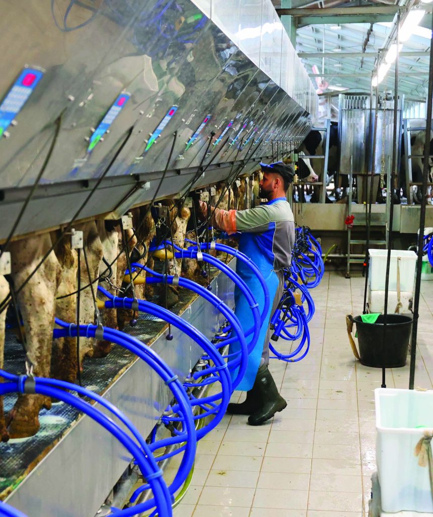 La tecnologia G+ consente di stimolare la sintesi lipidica a livello mammario e aumentare il tenore di grasso nel latte.